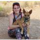Mercedes, Schäferhund Mix - Hündin