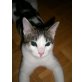 Micky, k.A. - Kater