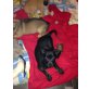Miley, Dackel - Chihuahua Welpen - Hündin