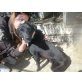 Milu, sucht Familie zum kuscheln, Labrador Mix - Hündin