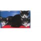 Mimmi, Max und Moni, EKH - Katze