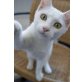 Minka, Mischling- Hauskatze - Katze