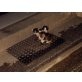 Mischlingskatzen - Katze