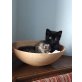 Mogly und Kater - Kater