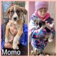 Momo, Mischling Welpen - Hündin