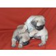 Mops Welpen - Rüde