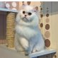 Mr. Triple-X, Red Silver Chinchilla Katerchen, Perser mit Nase - Kater