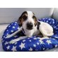 Muffin, Beagle-Mischling Welpen - Rüde