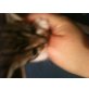 Namenslos, Europäische Kurzhaarkatze - Katze