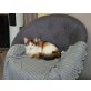 Naomi, Hauskatze  - Katze