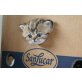 Neele und Nira, Perser - Katze