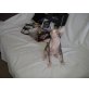Nemesis,Nessie,Noel Star, Sphynx - Katze