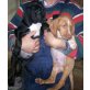 Nero & Browns, Labrador Mix Welpen - Rüde