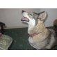 Nitshia, Siberian Husky - Hündin