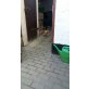 Notfall-Tier - Kater