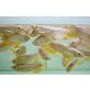 OBEN KLASSE QUALITÄT AROWANA FISCH - weiblich