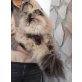 Odila von Spindeleben, Perser - Katze