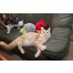 Oliver, Maine Coon - Kater