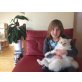 Oskar / Silvio, Heilige Birma - Kater