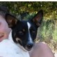 Ot, Jack Russell Mix - Rüde