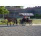 PFERDEKUTSCHE MIT PLANE!