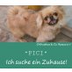 PICI, Pekinese - Hündin