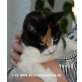 Pamy, Katzensternchen: Anhängliche Glückskatze Pamy - Katze