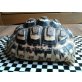 Pantherschildkröten - weiblich