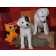 Parson-Russell-Terrier Welpen - Hündin
