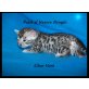 Patch of Heaven Bengals, Bengalkatze - Kater