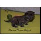 PatchofHeaven Bengal, Bengalkatze - Kater