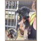 Patty, Mischling Welpen - Hündin