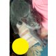 Pauli, Chareux - Kartäuser - Kater