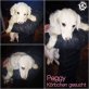 Peggy, Mischling Welpen - Hündin