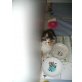 Perser-Baby mit Näschen (W), Perser - Katze