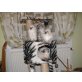 Perser Colourpoint - Kater