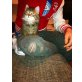 Perser - Kater