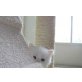 Perser - Kater