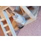 Perser - Kater