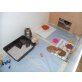 Perser - Katze