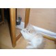 Perser - Katze