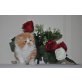 Perser Rot - Kater