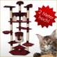 Perser mit Nase - Katze