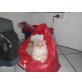 Perser mit Nase - Katze