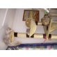 Perser mit Nase - Katze