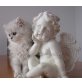 Perserbabys - Kater