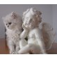 Perserbabys - Katze