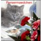 Perserkätzchen Dessy, Perser - Katze