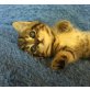 Persermixkätzchen - Katze