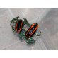 Phyllobates Vittatus